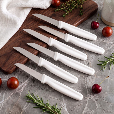 Aryıldız 6 Parça Meyve Bıçağı Beyaz 8 cm - ARYILDIZ