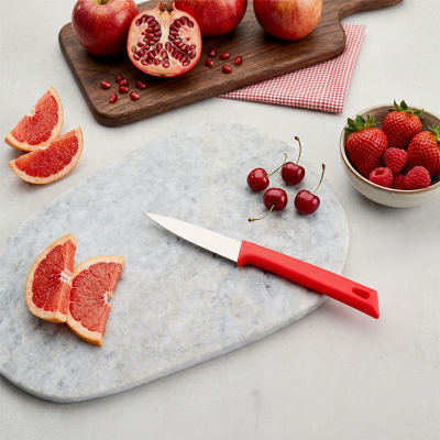 Aryıldız Düz Ağız Meyve Bıçağı Kırmızı 17 cm - 1