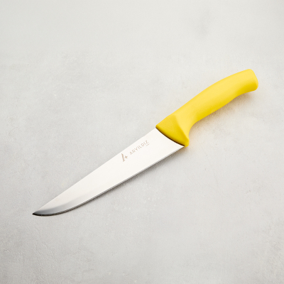 Aryıldız Rexa Et Bıçağı Sarı 18,5 cm - 6