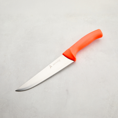 Aryıldız Rexa Et Bıçağı Turuncu 18,5 cm - 6