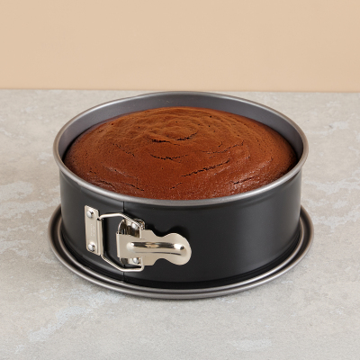 Kaiser Inspiration B Kelepçeli Kek Kalıbı 20 cm - KAISER